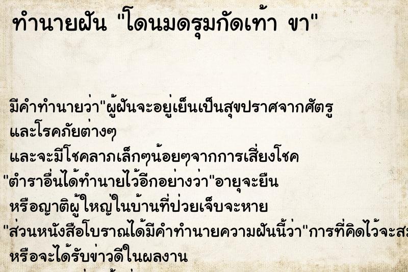 ทำนายฝันโดนมดรุมกัดเท้าขา ทำนายฝันทำนายฝันโดนมดรุมกัดเท้าขา